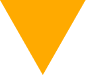 Orange icon graphic of a triangle pointing down.